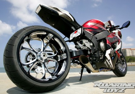 Roaring Toyz Custom Kawasaki ZX10 240 OSD Swingarm | Roaring 